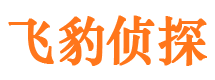 抚松找人公司